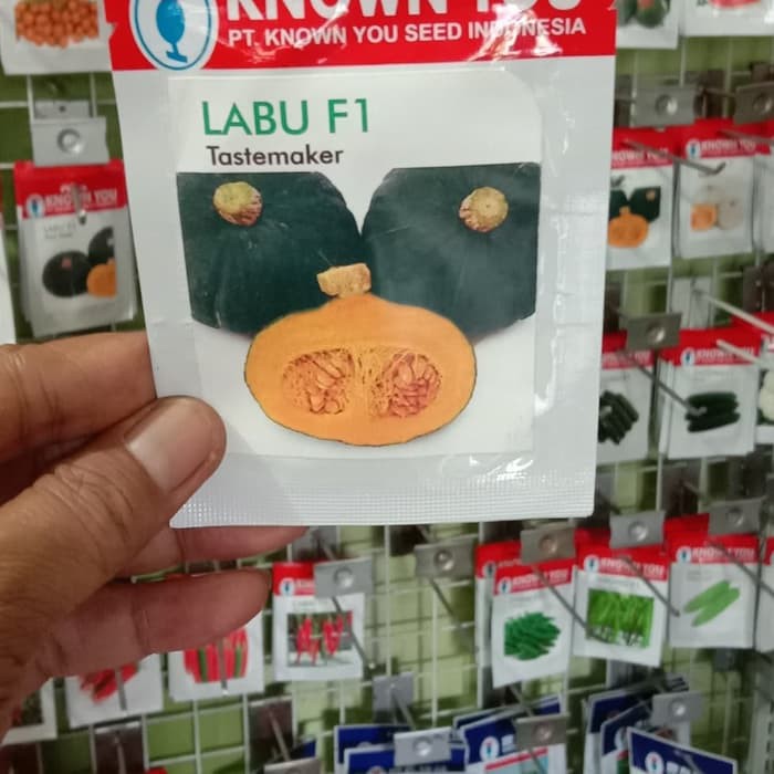 

Dijual Benih Labu F1 Tastemaker Known You Seed Limited
