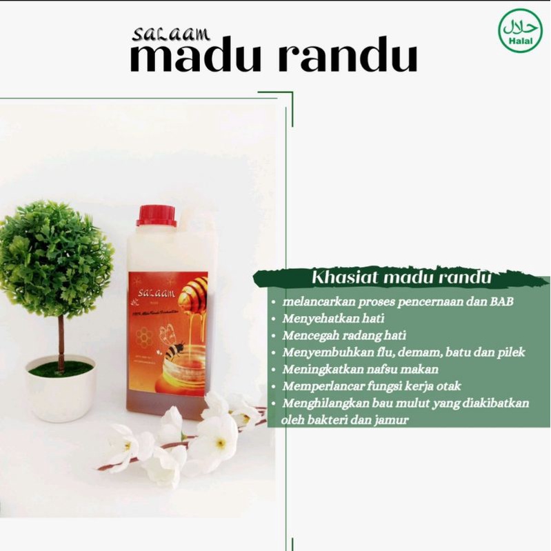 

DSM Healthy Salam Madu randu