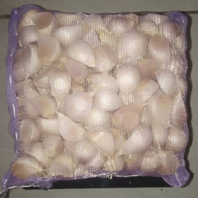 

Bawang Putih Kating/Kg karung mini