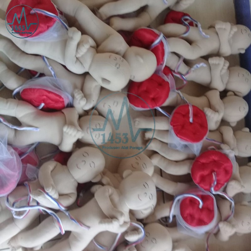 hjy Bayi Dan Plasenta Bahan Kain Alat/Peraga/Phantom/Manikin/Akper/Kebidanan