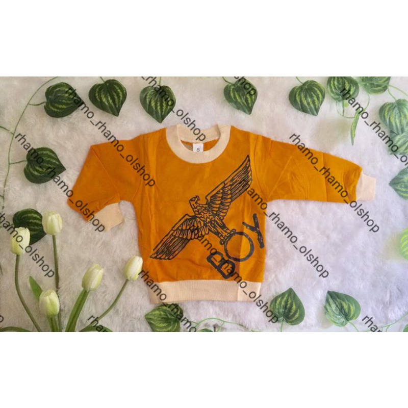 SWEATER IMPORT BABY COWOK/ KAOS IMPORT LENGAN PANJANG ANAK COWOK