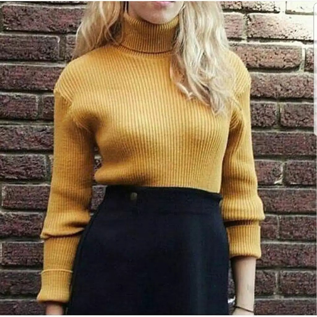 PRETTY TURTLENECK KNITT