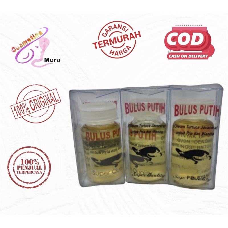 Minyak bulus original - bulus eyang // minyak bulus putih