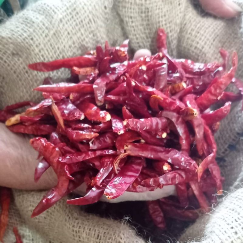 

cabai rawit kering / cabai india / cabe Teja 100gram bersih tanpa tangkai