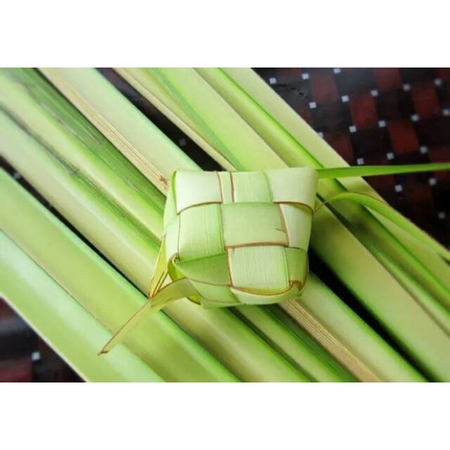 

Daun Kelapa Muda untuk cangkang ketupat lebaran