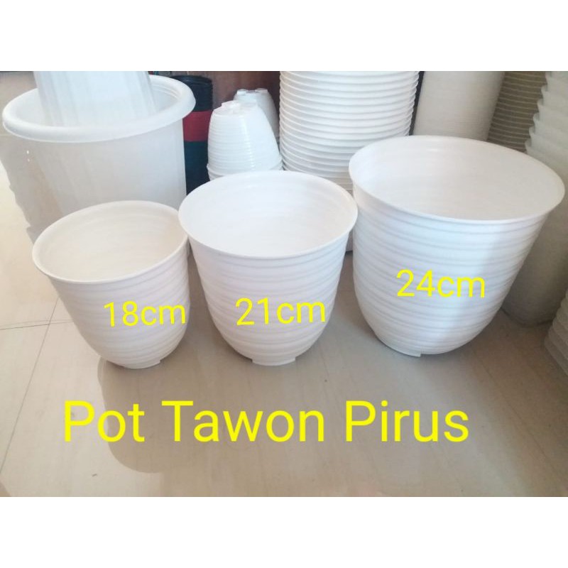 POT TAWON PIRUS / TIRUS 18cm WARNA PUTIH merek My Honey