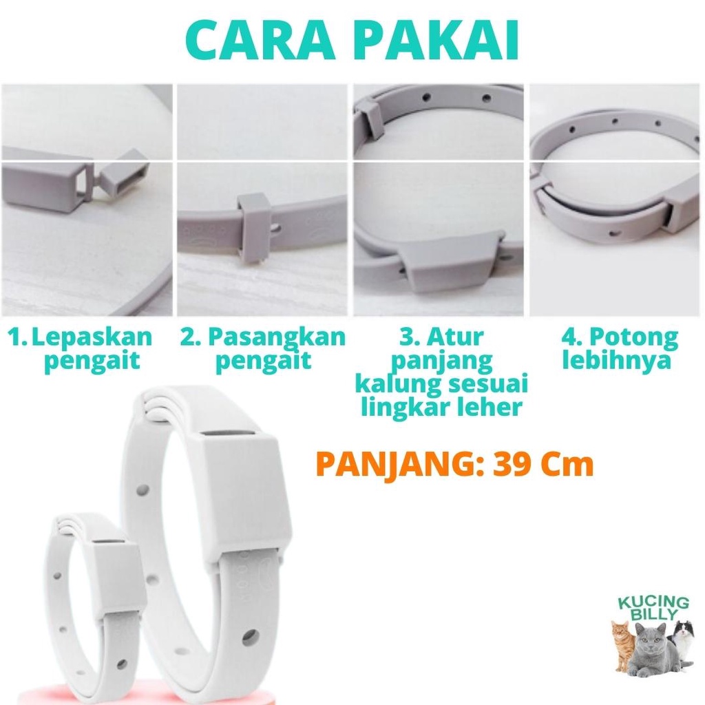 Flea removal collar antikutu kucing