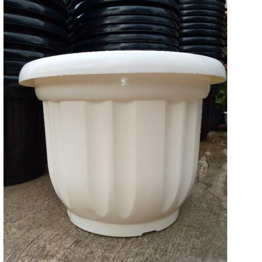POT EBONNY JUMBO DIAMETER 50/POT POLOS BESAR 50/POT TANAMAN BESAR JUMBO UK 50