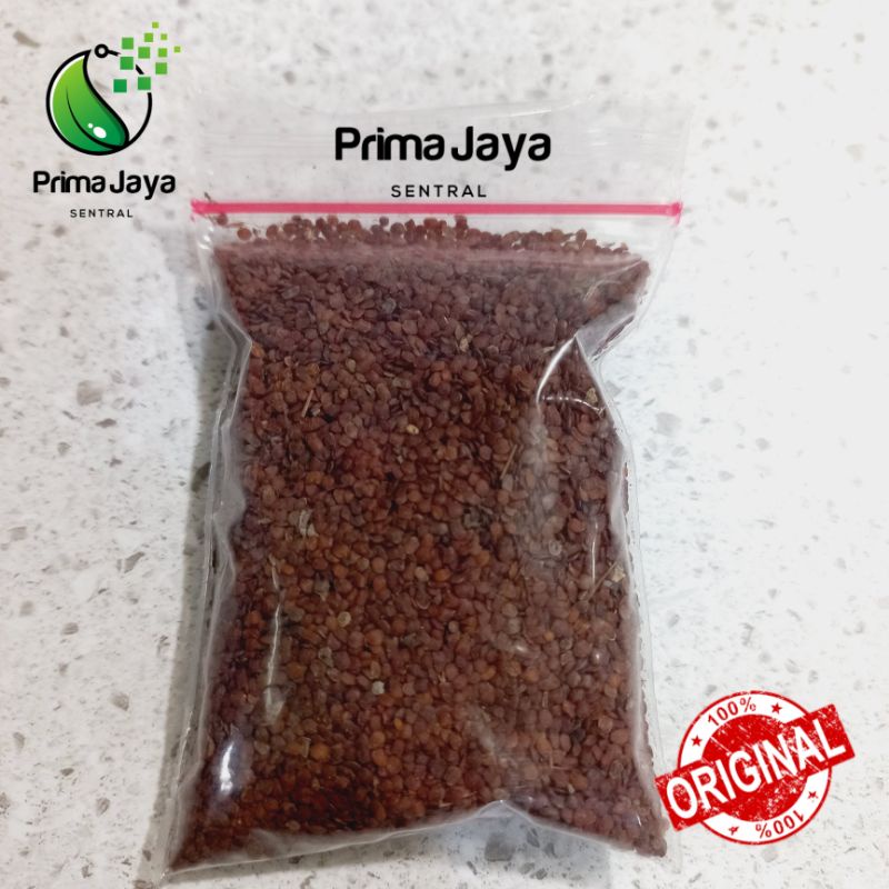 [OBAT LUAR] TELUR KODOK UNTUK BISUL / BENGKAK NANAH / MEMATENGKAN BISUL BENGKAK BESAR BERNANAH NYERI