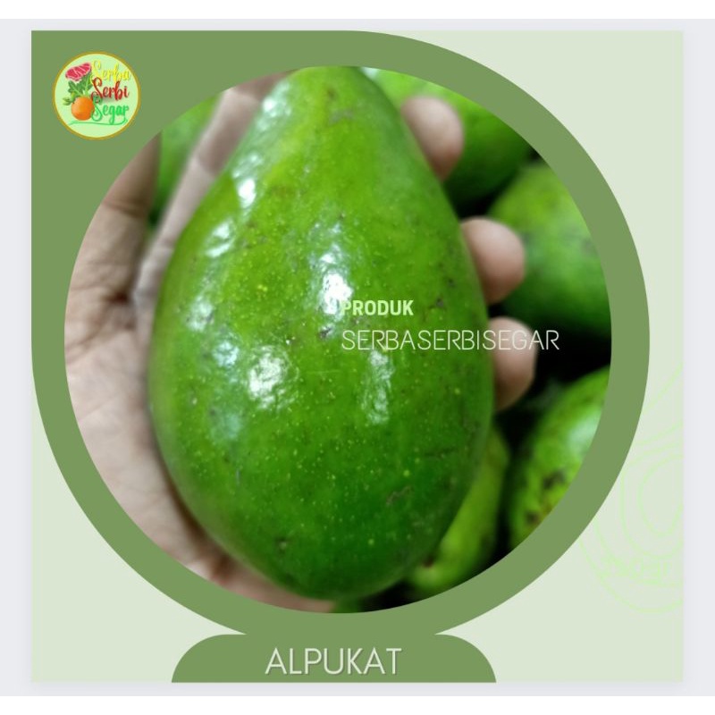 

ALPUKAT 1KG