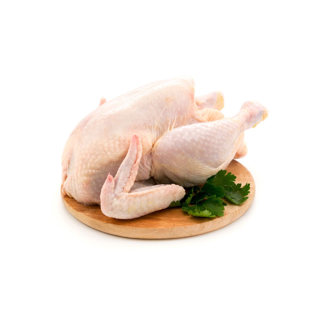 

Fresh Food - Ayam Utuh Halal Berkualitas Tinggi / Whole Chicken / Daging Ayam Segar / Ayam Frozen