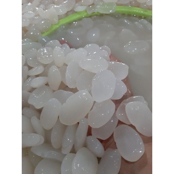 

kolang kaling 1kg