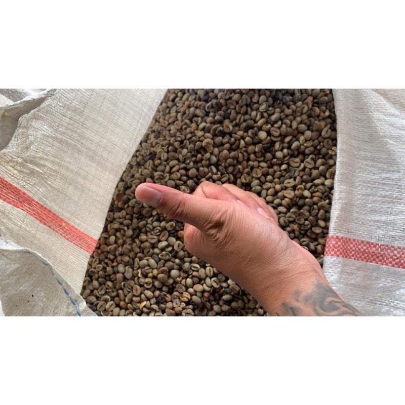 

Biji Kopi Robusta Pupuan