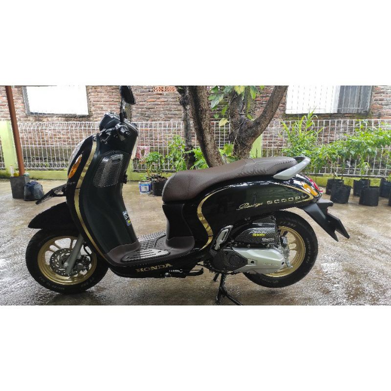 STRIPING SCOOPY PRESTIGE 2021 NEW lis ori