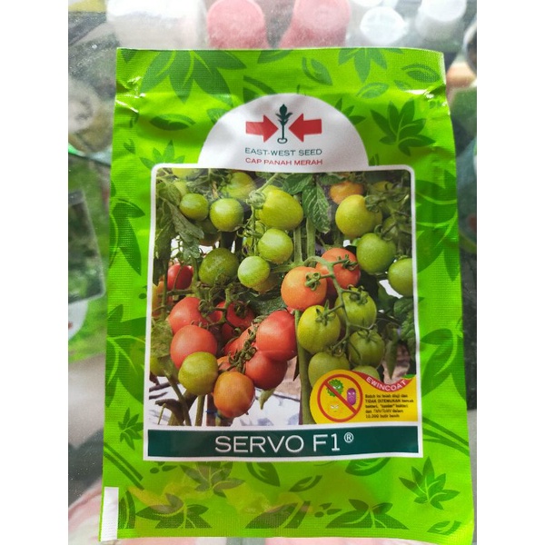 benih tomat servo f1