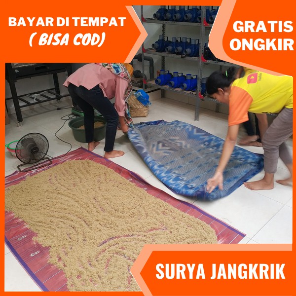 jual telur jangkrik jombang telur jangkrik madu super siap menetas