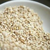 

(PROMO MIC88) Biji Jali-Jali Pearl Barley Biji Jali khasiat buat Kesehatan jali jali 500g ✵
