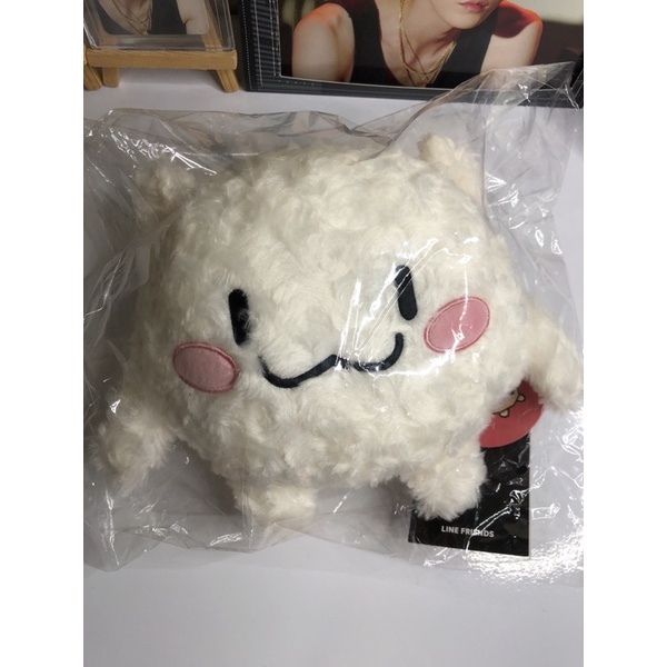 [ BOOKED ]Truz Medium doll Ruru