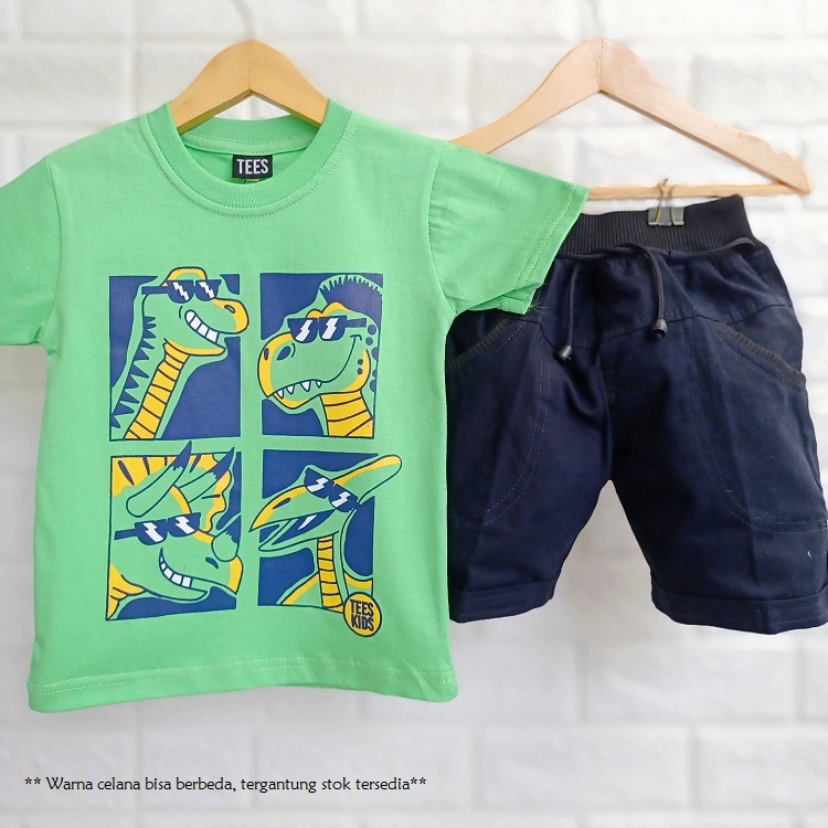 SETELAN KAOS ANAK COWOK DINO LC CELANA PENDEK 1 TAHUN - 9 TAHUN BAJU ANAK LAKI LAKI SETELAN-3
