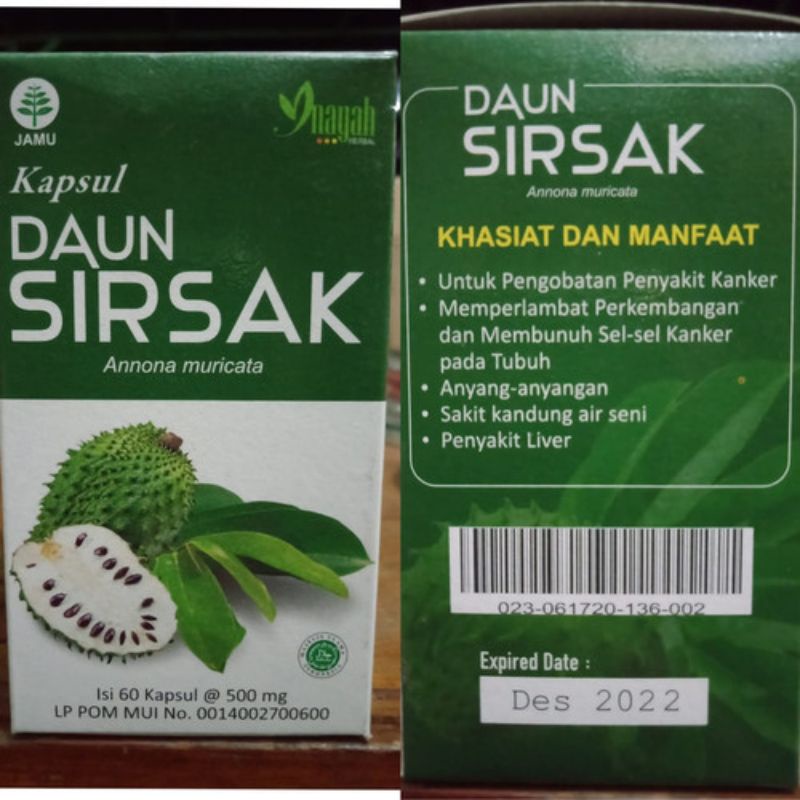 DAUN SIRSAK KAPSUL [INAYAH] - OBAT HERBAL ANTI KANKER