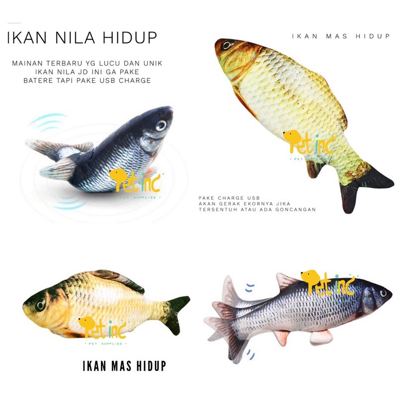 Ikan mas ikan nila hidup kleper kleper