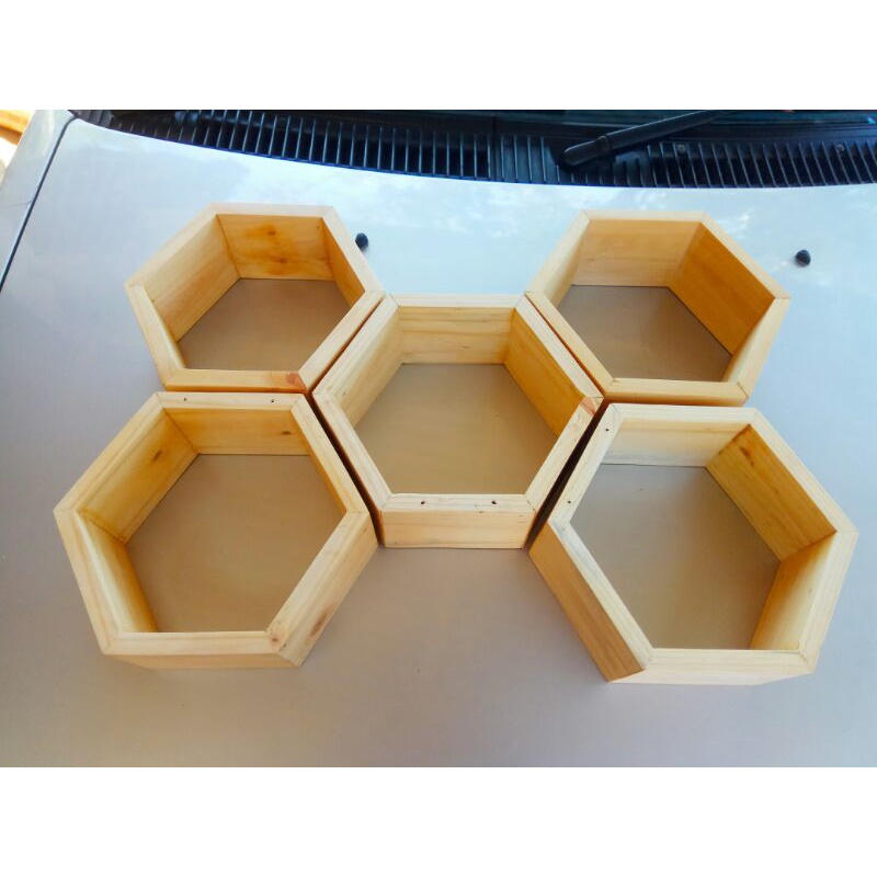 HIASAN DINDING HEXAGONAL JATI BELANDA