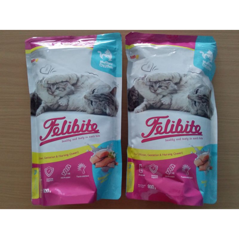 Felibite Mother Kitten