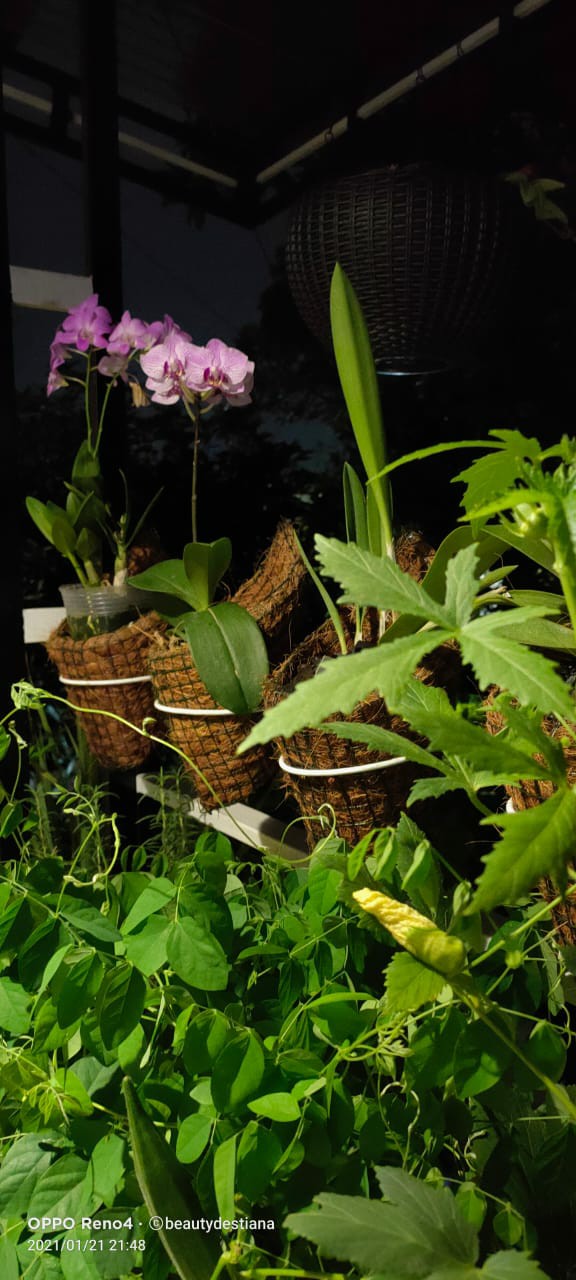 Produsen Gantungan Pot Pagar Gantungan Besi, Ring Cantol Pagar D12