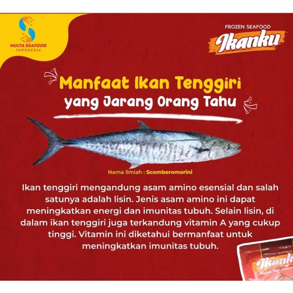 

Ikanku Frozen Food/Tongkol/Marlin/Cumi/Tengiri + Saos untuk 3-4 porsi