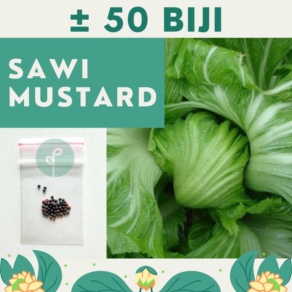 Bibit Sayuran Benih Sayur Paket Lengkap Hidroponik Kangkung Bayam Cabe Sawi Selada Terong Tomat dll-SAWI MUSTARD