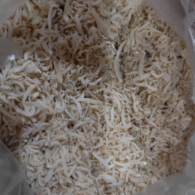 

Teri medan 500gr
