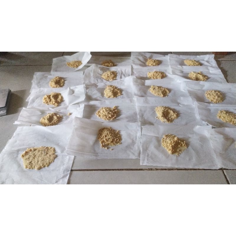 TELUR MAGGOT BSF PAKET 15 GRAM / TELUR LALAT BSF