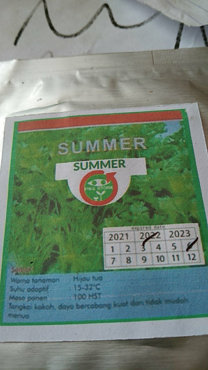 Bibit Terong Lalap Parkit Isi 10 Gram. Benih Terong. Bibit Terong Bulat. Biji Terong