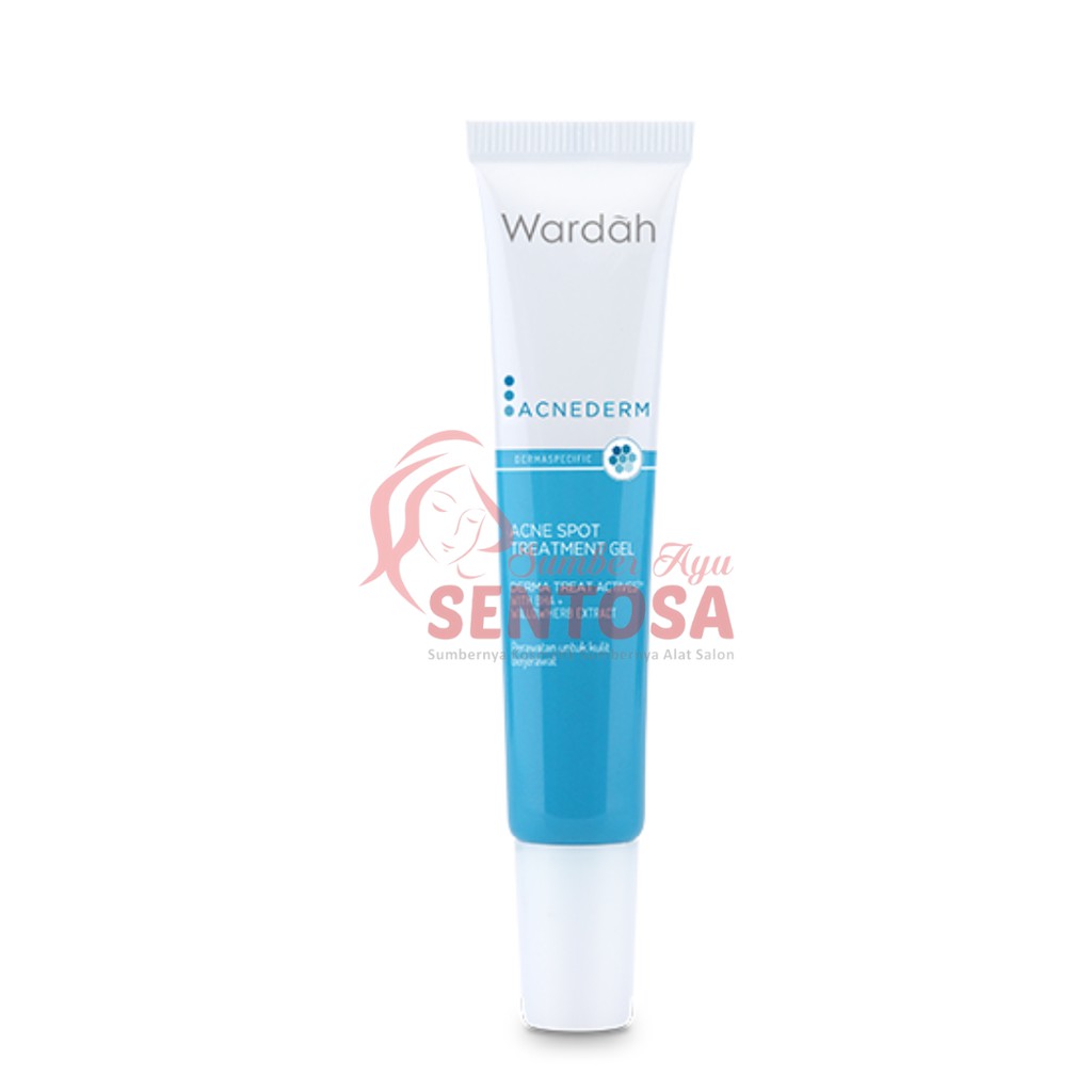 WARDAH ACNEDERM ACNE SPOT TREATMENT GEL 15ML