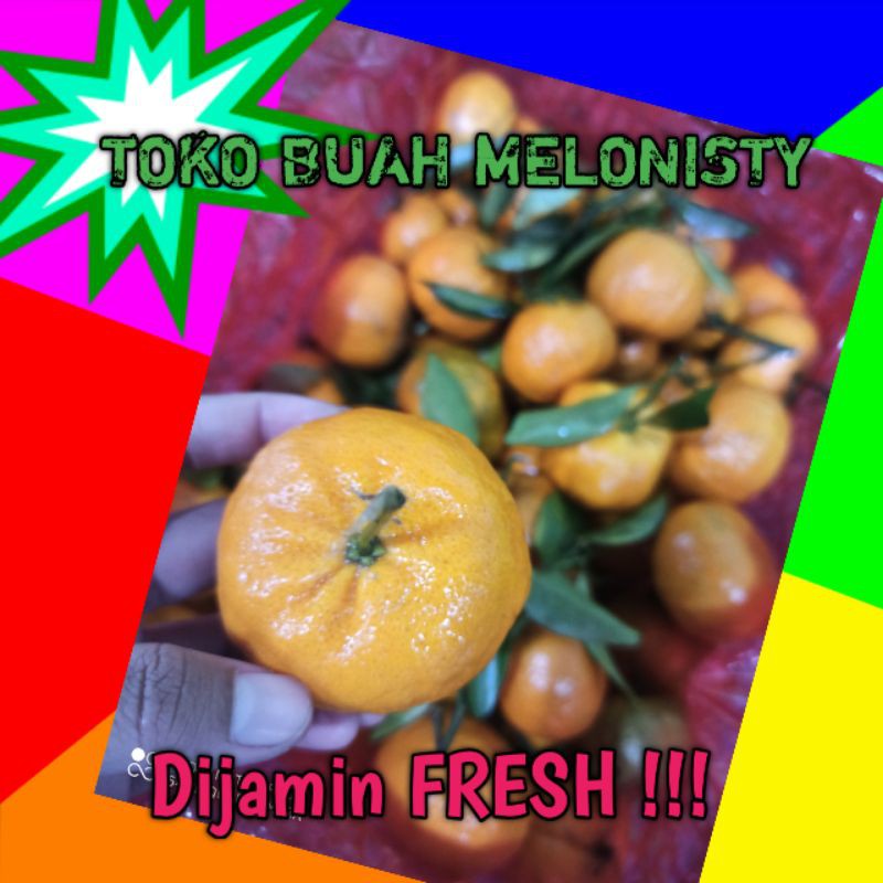 

[ PER KG ] BUAH JERUK SANTANG FRESH/MANIS SANTANG JERUK MANIS