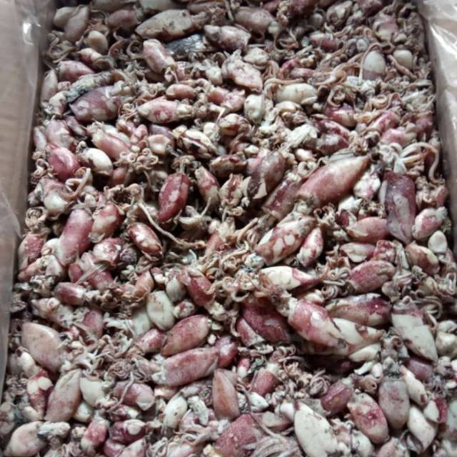 

Cumi rebus kering 90gr