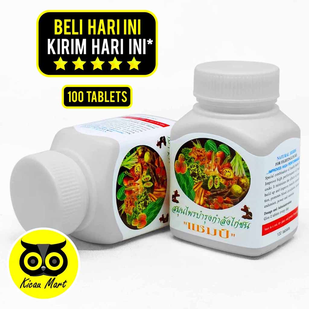 Kamlang Kering Ayam Vitamin Champ White Jamu Obat Herbal Perawatan Stamina Ayam Jago Bangkok Aduan Tarung Agresif Stamina Tenaga Berlipat Perkuat Otot