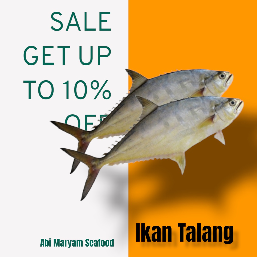 

Ikan Talang Fresh Berkualitas 1kg