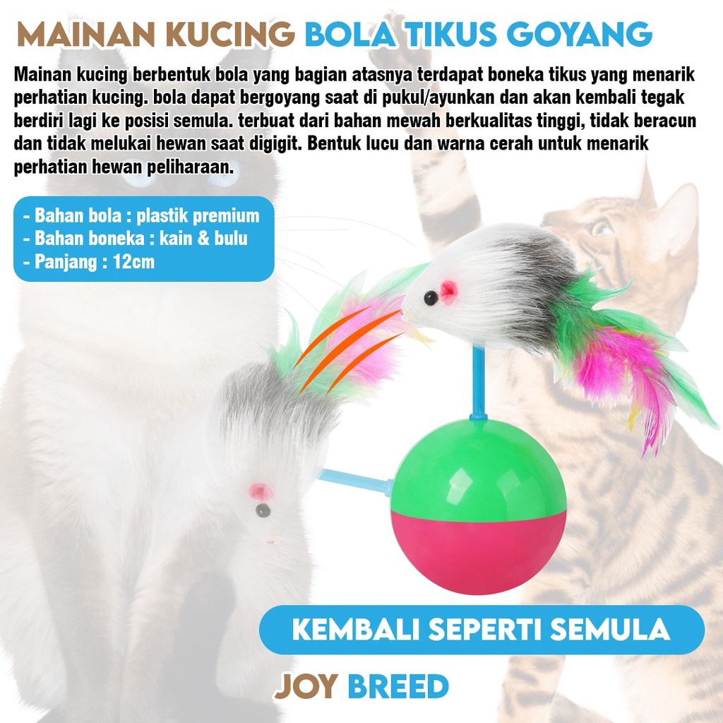 MAINAN KUCING BOLA TIKUS GOYANG MAINAN ANAK KUCING INTERAKTIF | JOY BREED