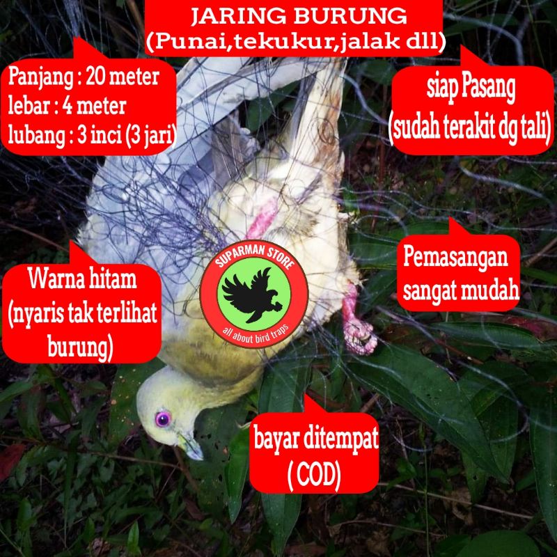 JALA PUNAI JARING PUNAI PERANGKAP PUNAI JALA JARING PUNAI AMPUH JARINGAN PUNAI PIKAT BURUNG BESAR JE