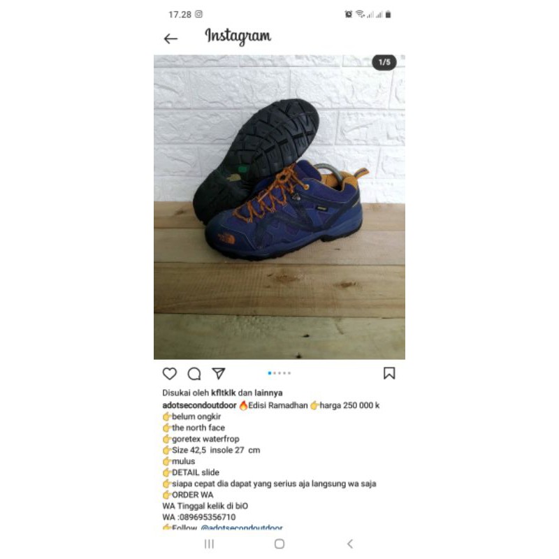 sepatu the nort face