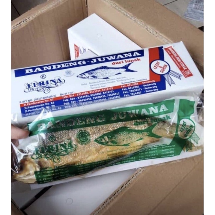 

Ikan Bandeng Presto Juwana Elrina Vacuum Kering Khas Semarang (Duri Lunak)