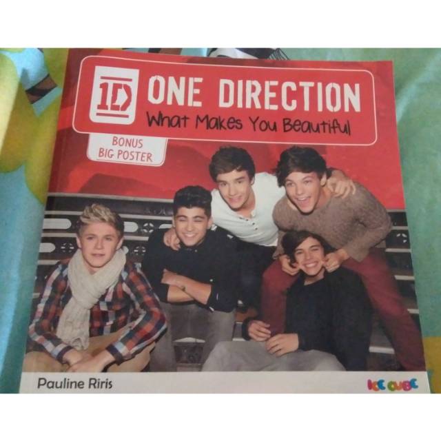 Buku one direction what makes you beautiful
