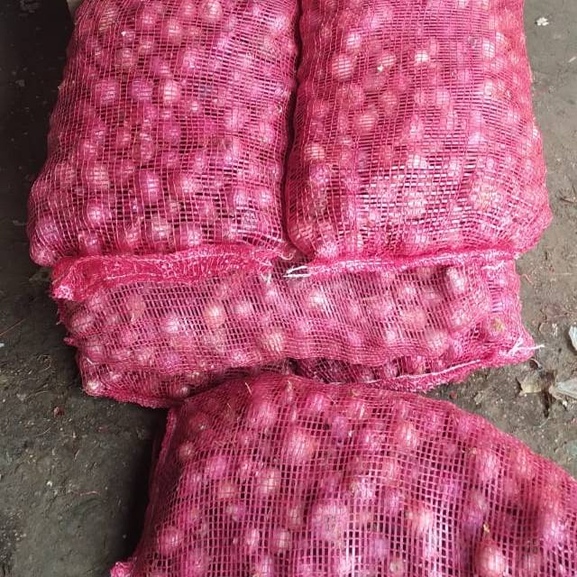 

Bawang Merah Medan