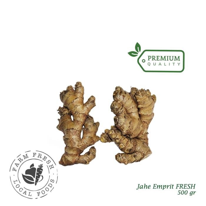 

Jahe Emprit Putih Zingiber Ginger Herbal 500 Gr Rempah Bumbu Masakan Bahan Masakan