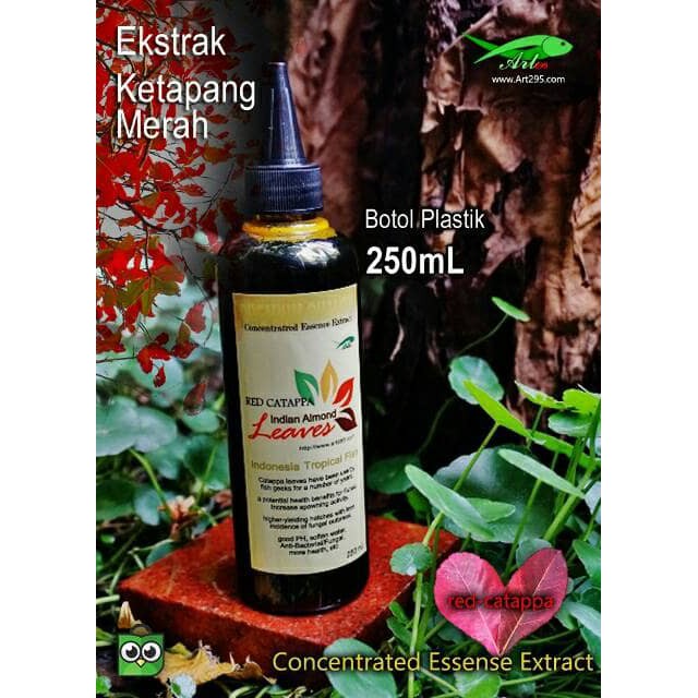 

Dijual Ekstrak Daun ketapang Merah 250mL Indian Almond Premium Quality Special