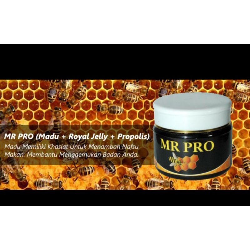 MR PRO ASLI HWI PENGGEMUK BADAN HERBAL ASLI