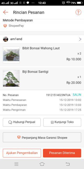 Bibit Bonsai Wahong Laut