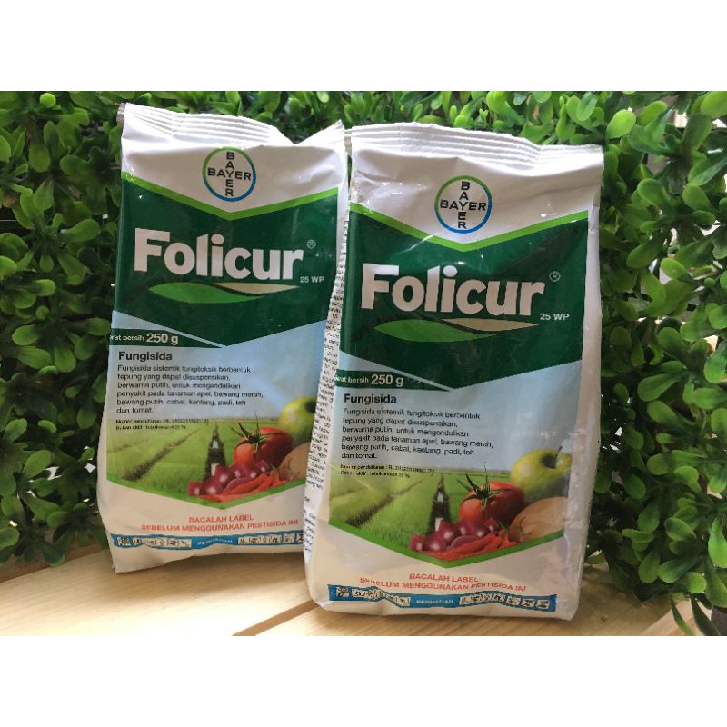 Folicur 25 WP Fungisida 250 gram