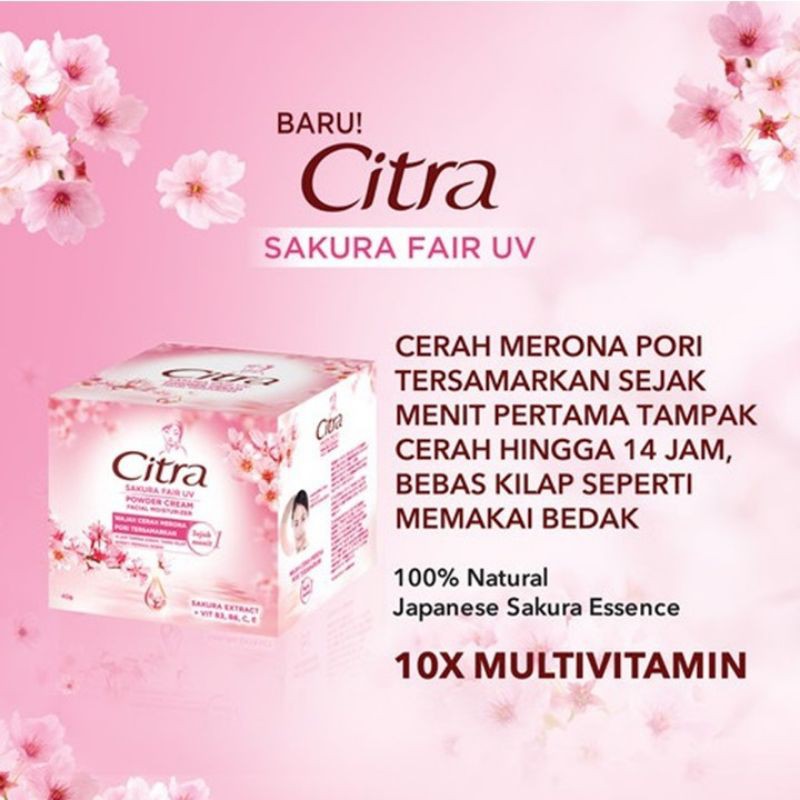 Citra Powder Cream Moisturizer Krim Wajah Sakura Glow UV 40 gr